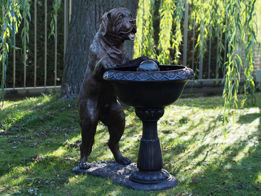 Dog With Fountain