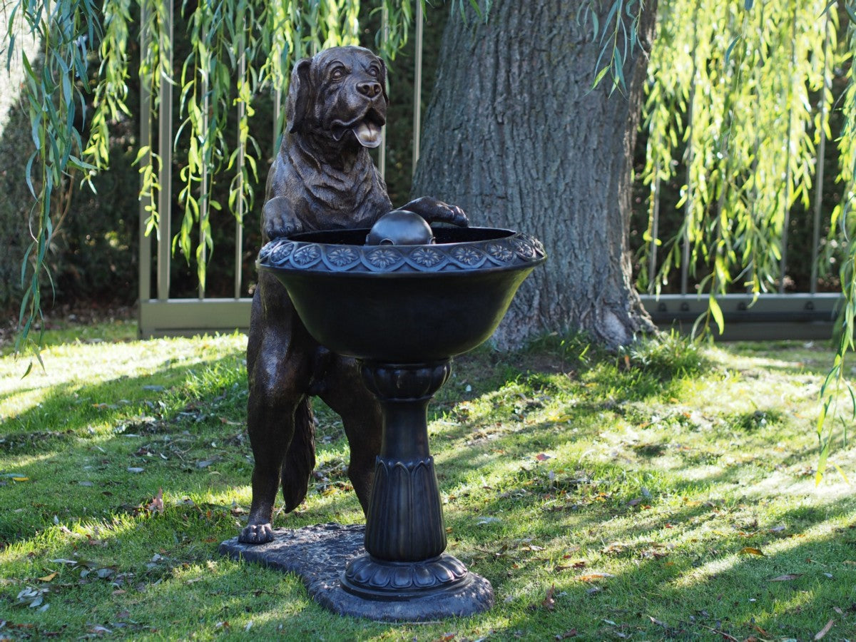 Dog With Fountain