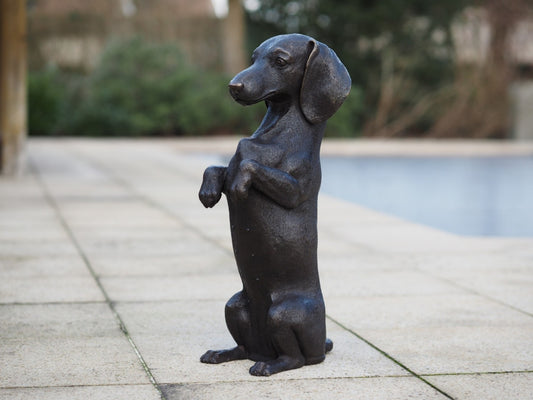Sitting Dachshund