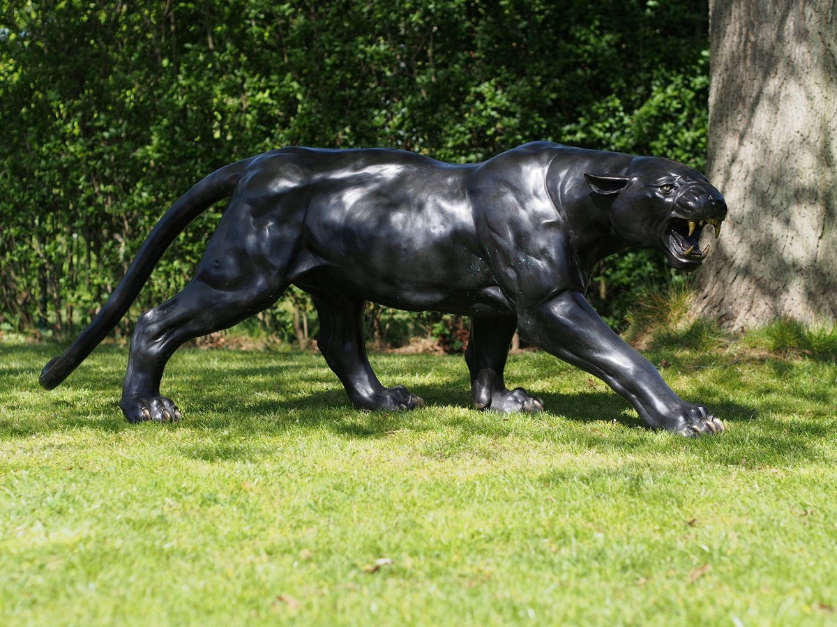 Crouching Panther