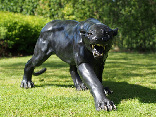 Crouching Panther
