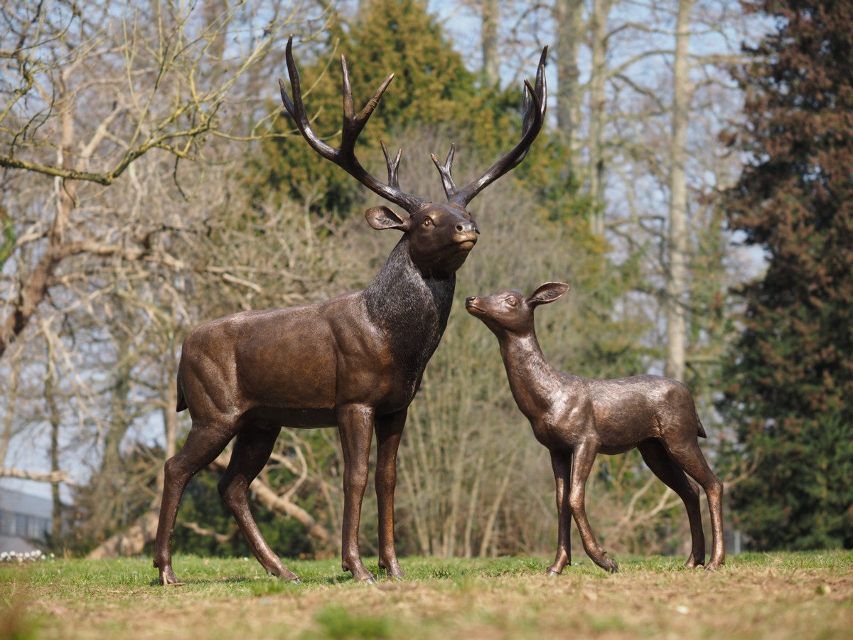 Standing deer
