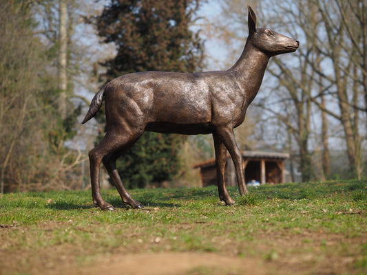 Female deer