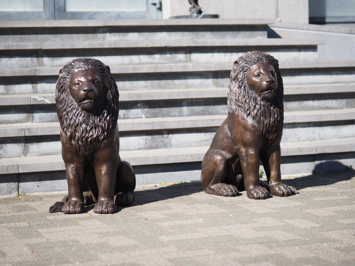 Sitting lion pair