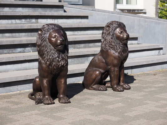 Sitting lion pair