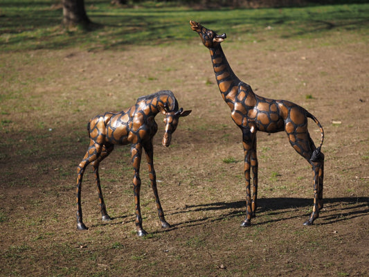 Giraffe pair