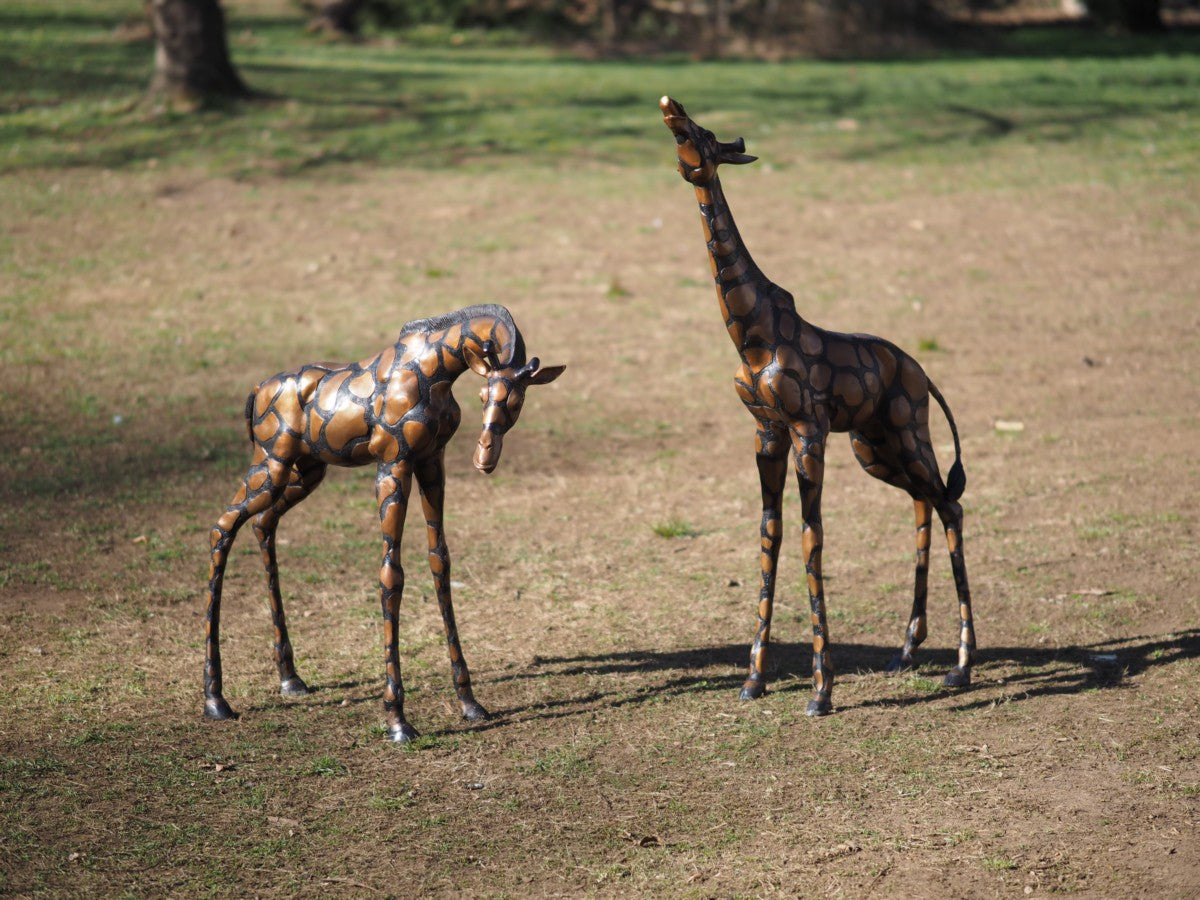 Giraffe pair