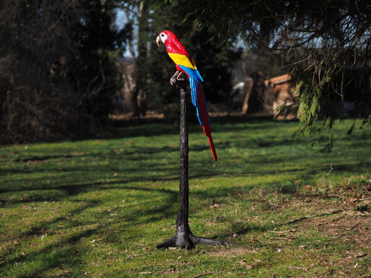 Parrot on a tree (head up)
