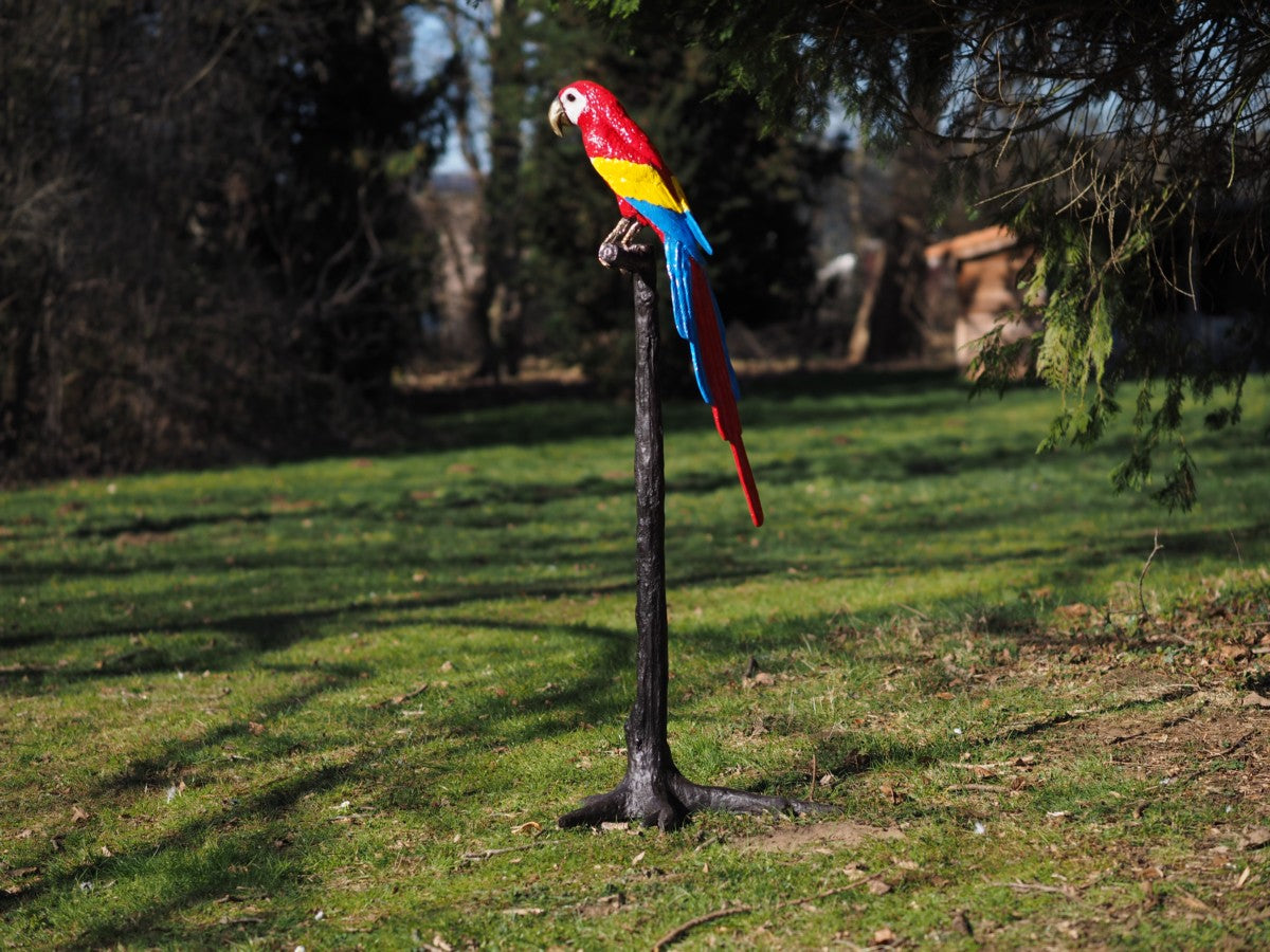 Parrot on a tree (head up)