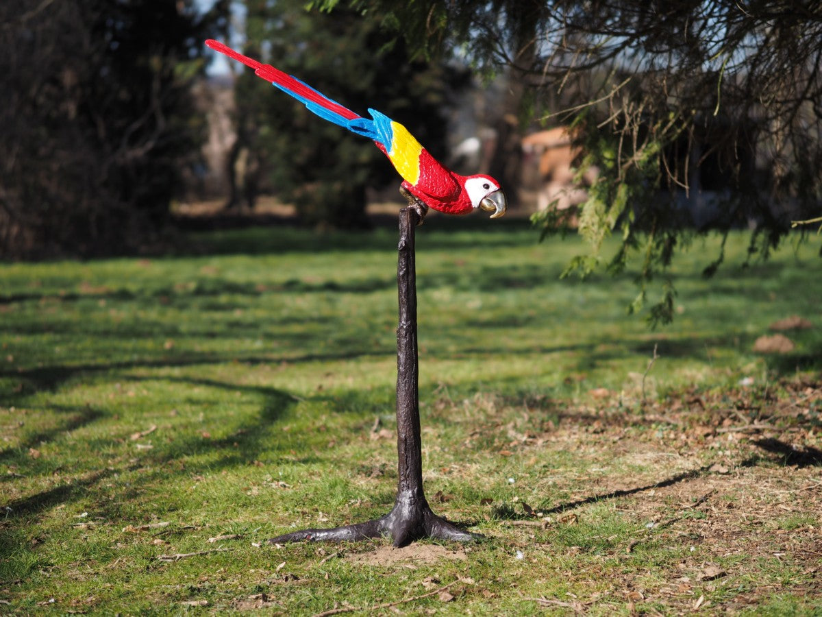 Parrot on a tree (head down)