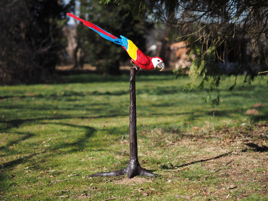 Parrot on a tree (head down)
