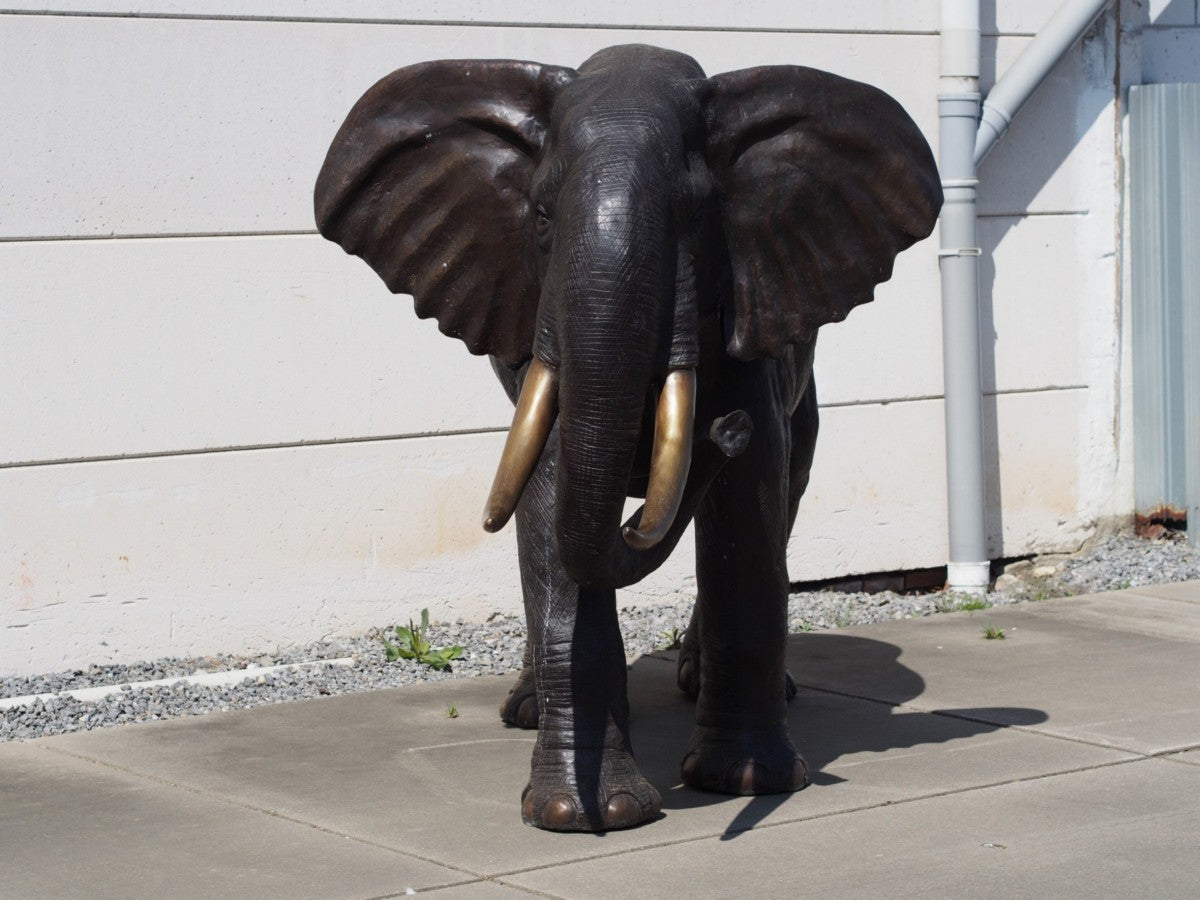 Large Elephant