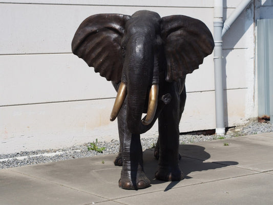 Large Elephant