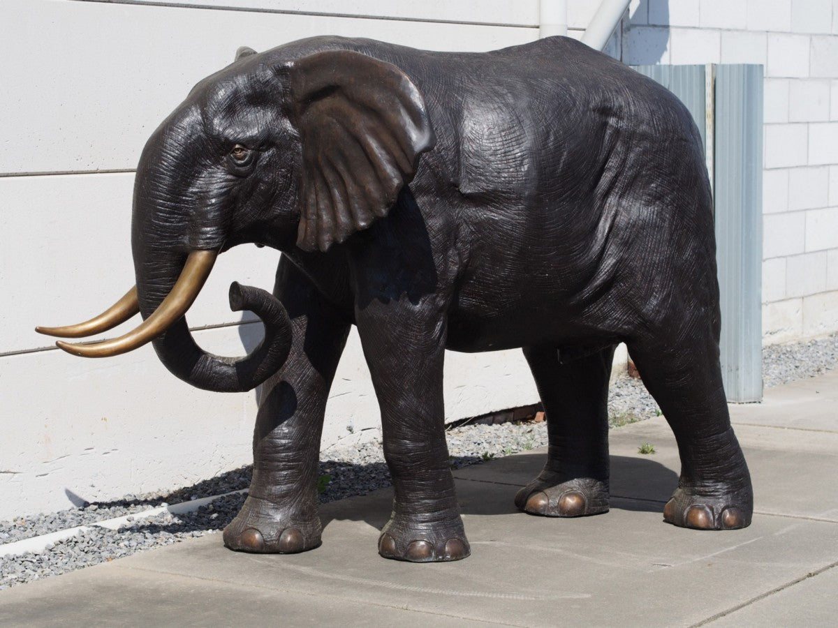 Large Elephant