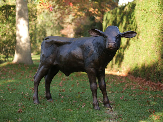 Calf