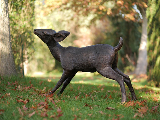 Small Deer