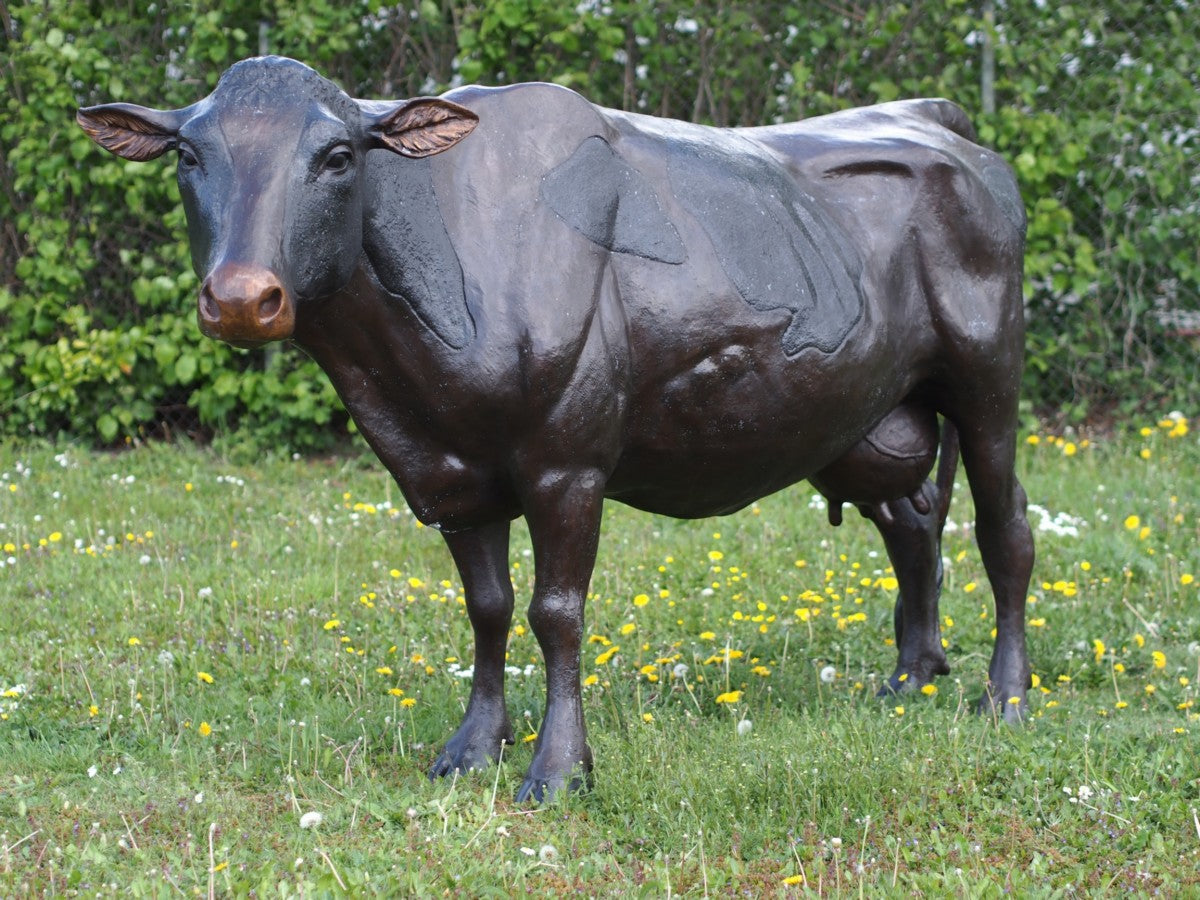Large Cow