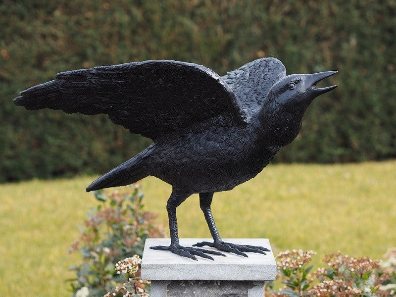 Raven With Open Wings