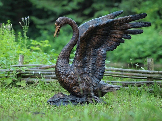 Swan