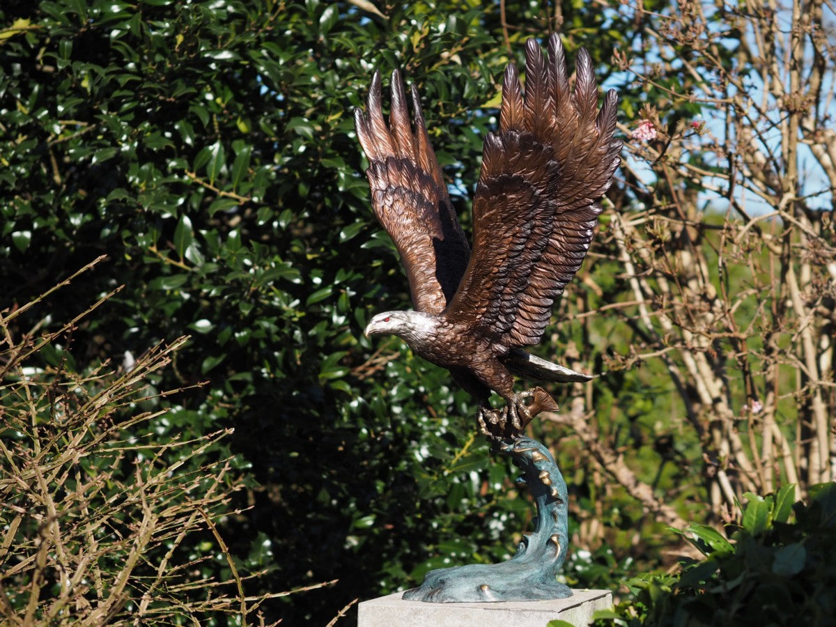 Flying eagle with fish