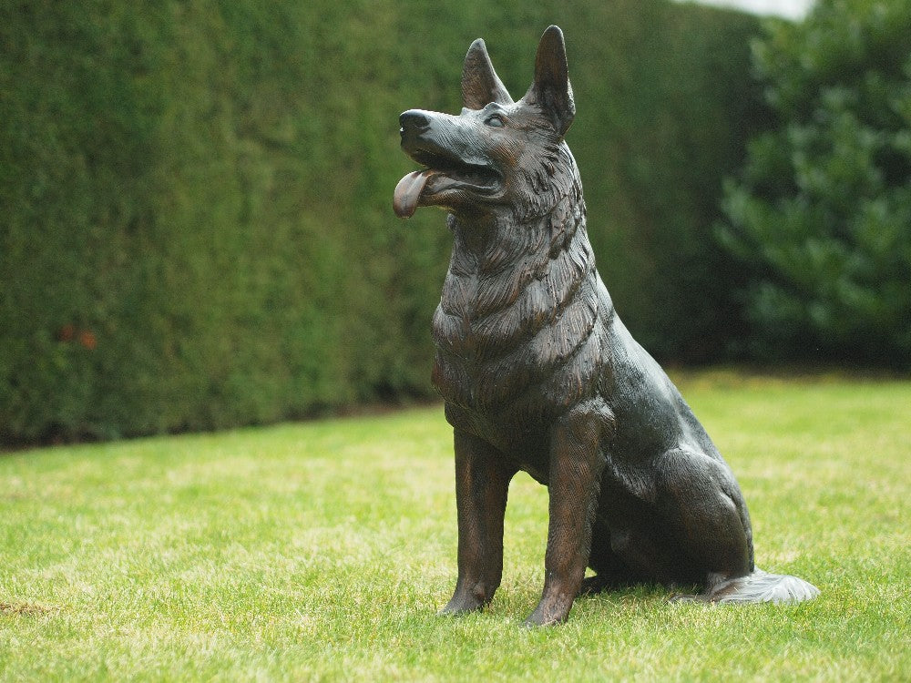 Sitting Dog