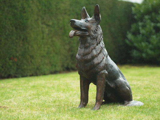 Sitting Dog