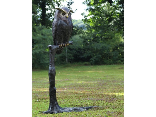 Owl On Tree