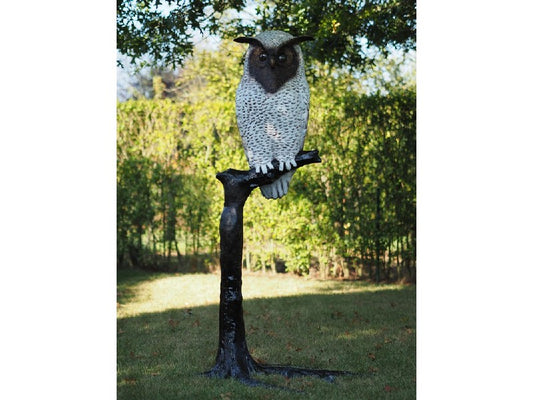 White Owl On Tree