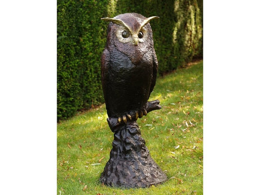 Owl On Rock