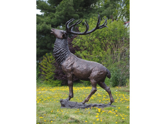 Big Deer