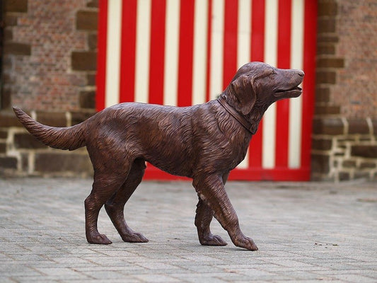 Labrador