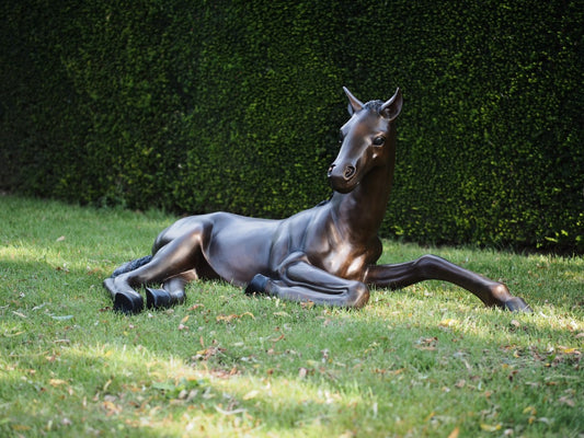 Lying Horse