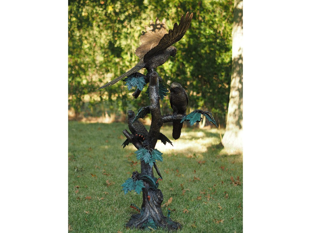 Parrots On Tree