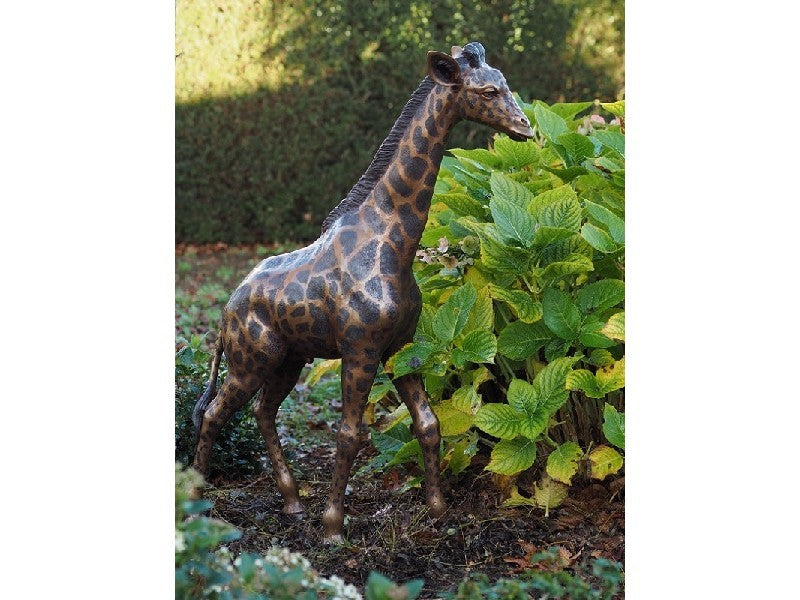 Small Giraffe