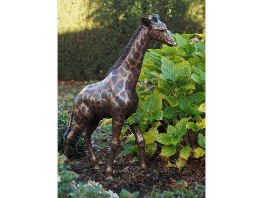 Small Giraffe