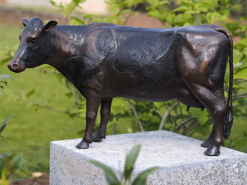 Small Cow