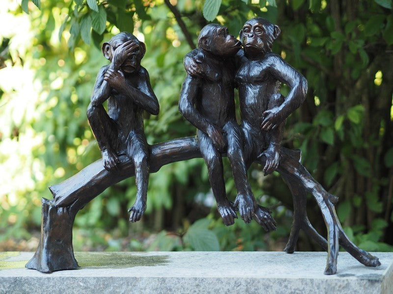 3 Monkeys On Trunk