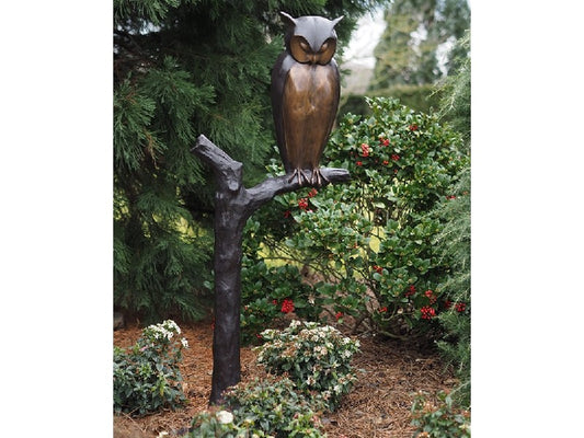 Owl On Tree