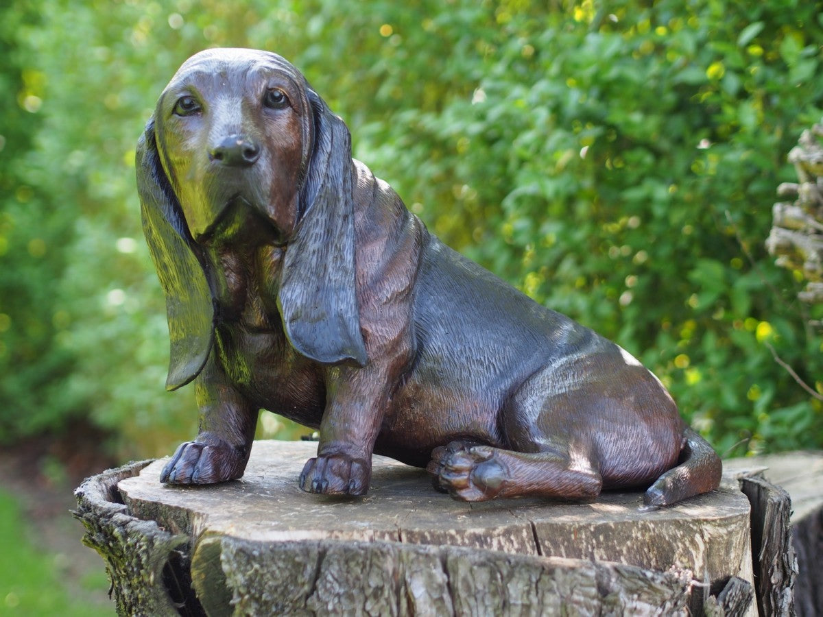 Basset
