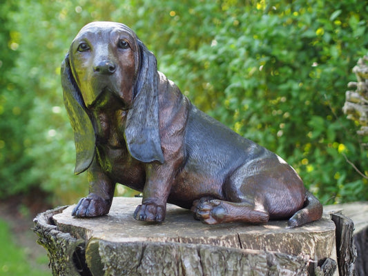 Basset