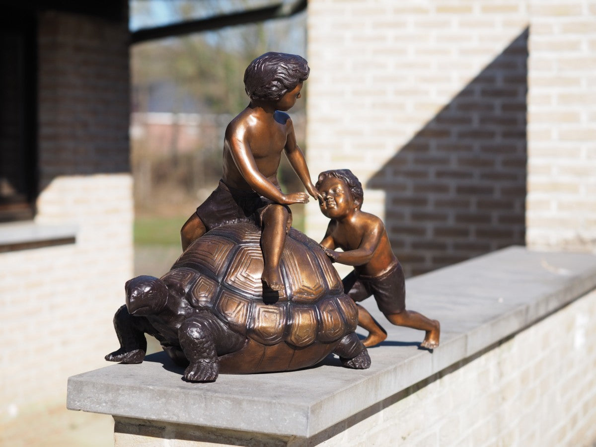 2 boys with a turtle