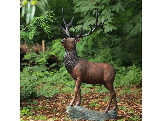 Standing Elk