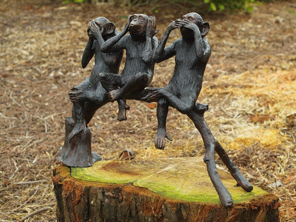 3 Monkeys On Tree