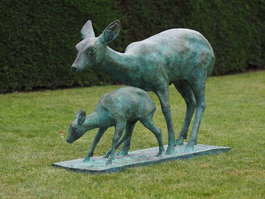 Deer - Mother And Child