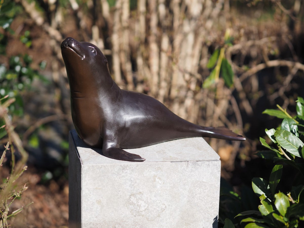 Sea lion