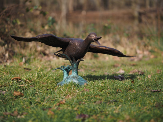 Flying duck