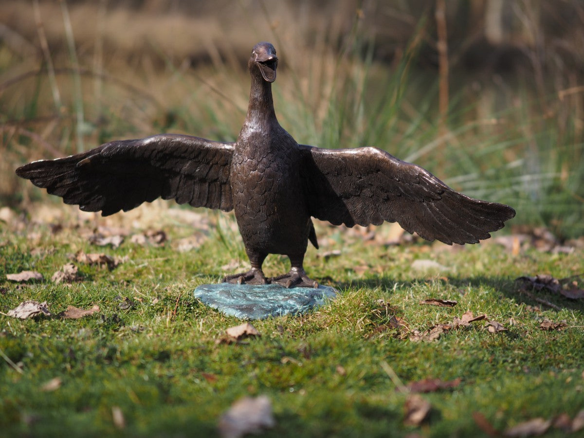Flapping duck