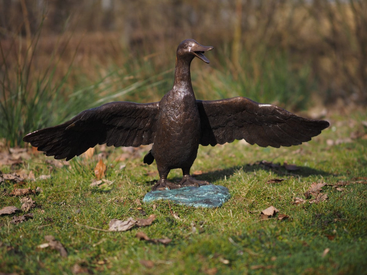 Flapping duck