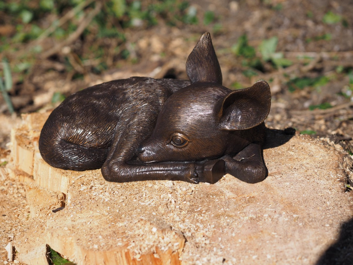 Sleeping fawn