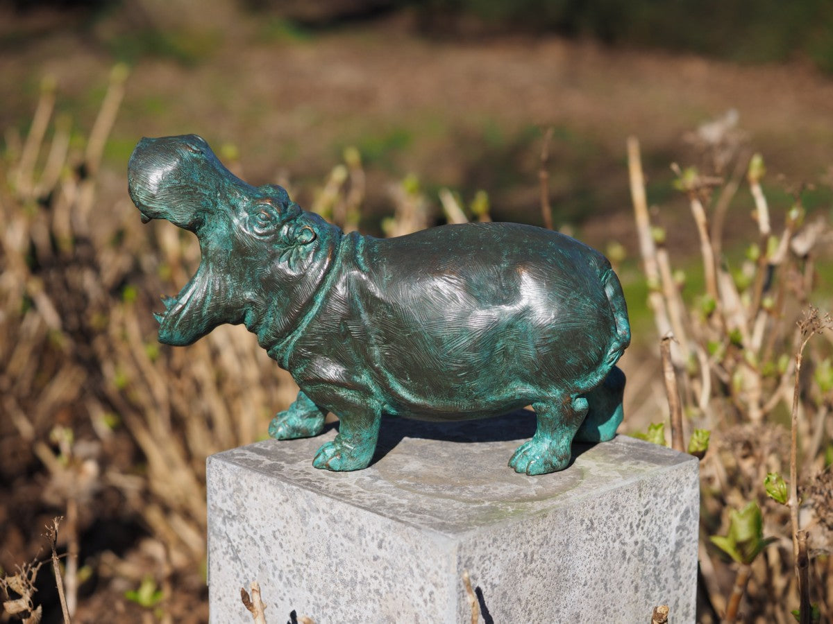 Hippo